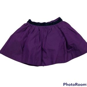 Janie and Jack Purple Tulle Lined Skirt size 2T